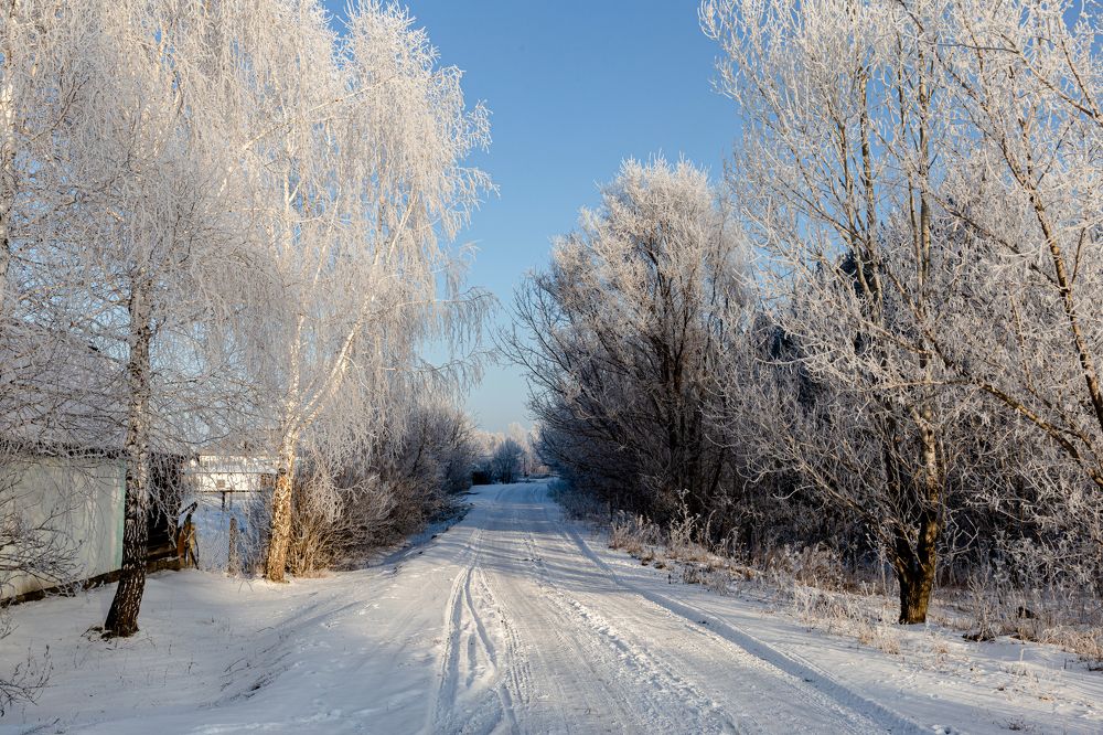 Photograph by Дмитрий Иванович