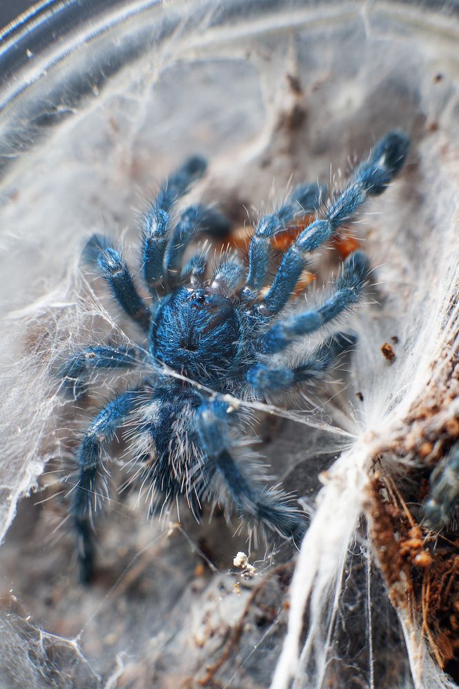 Photograph by Сумченко Ирина