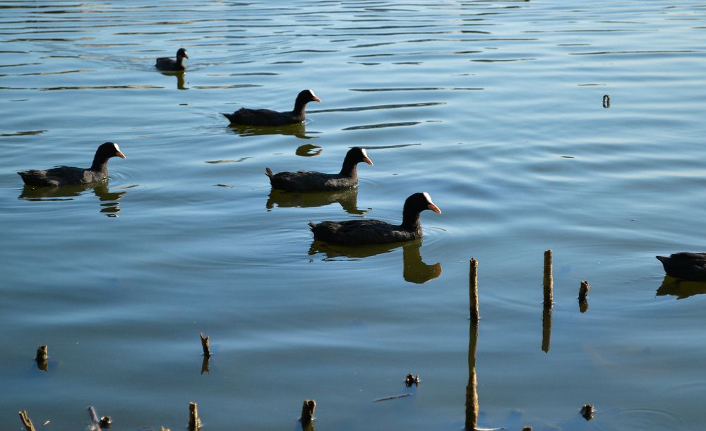 Photograph by Юлия Черепахина