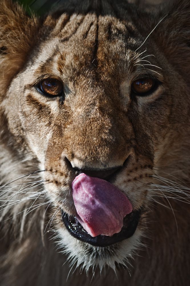 Photograph by Сумченко Ирина