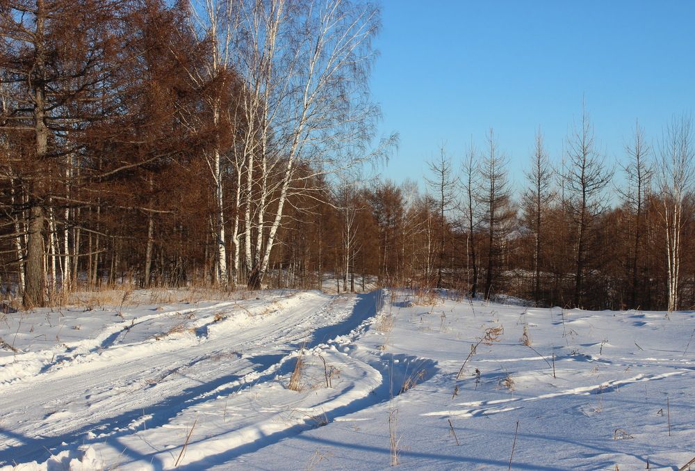 Photograph by Наталья Юрова