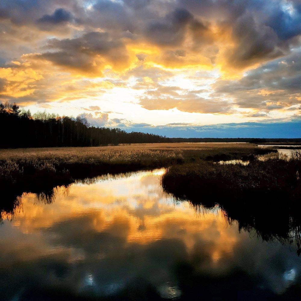 Photograph by Наталья Светлова