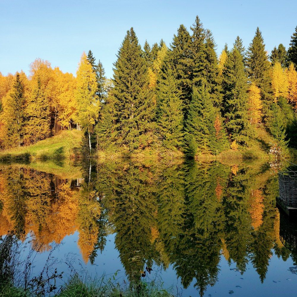 Photograph by Наталья Светлова