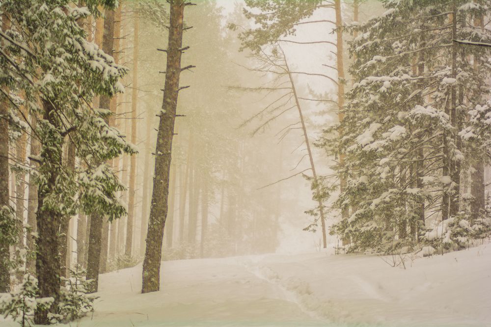 Photograph by Артём