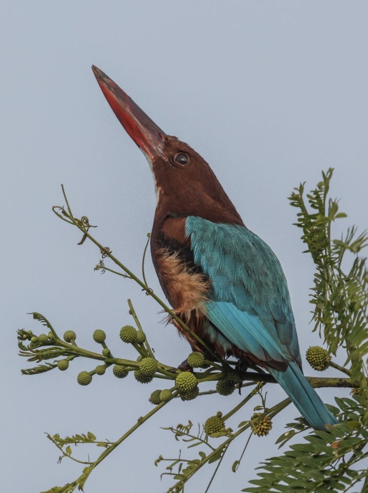 Photograph by Nilesh Tandel