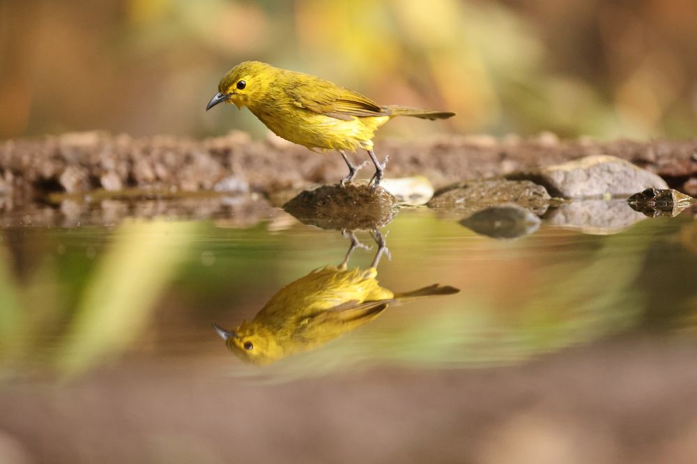 Photograph by Nilesh Tandel