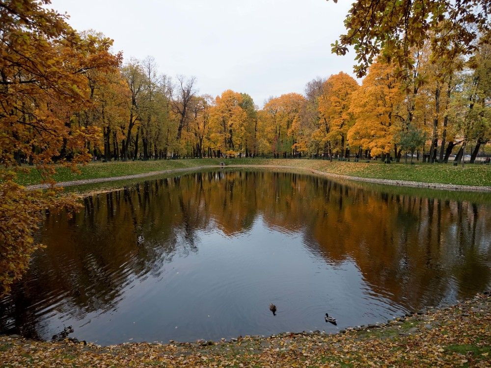 Осенние краски играют с листвой