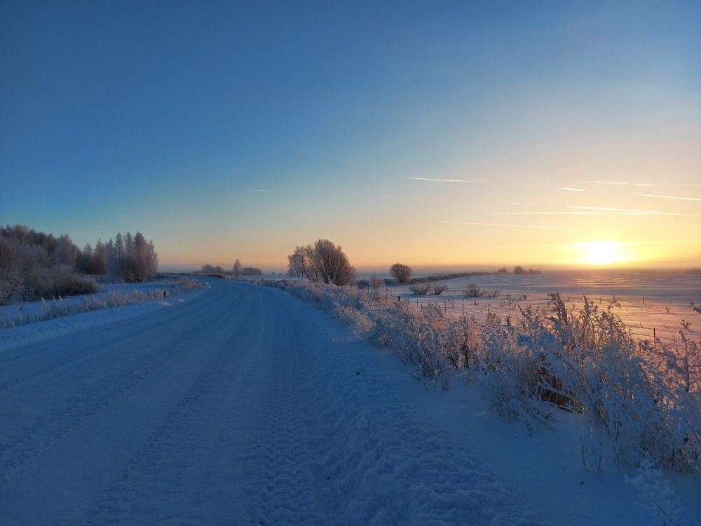 Студёный рассвет.