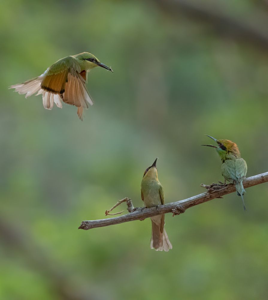 Photograph by Ravi yadav