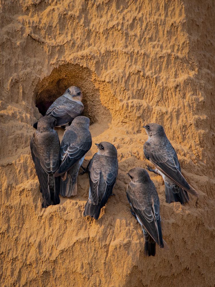 Photograph by Ravi yadav