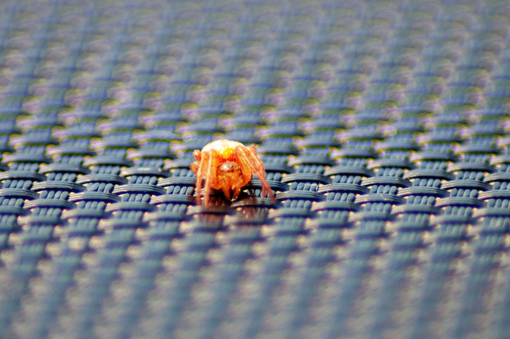 Photograph by Денис Кичев