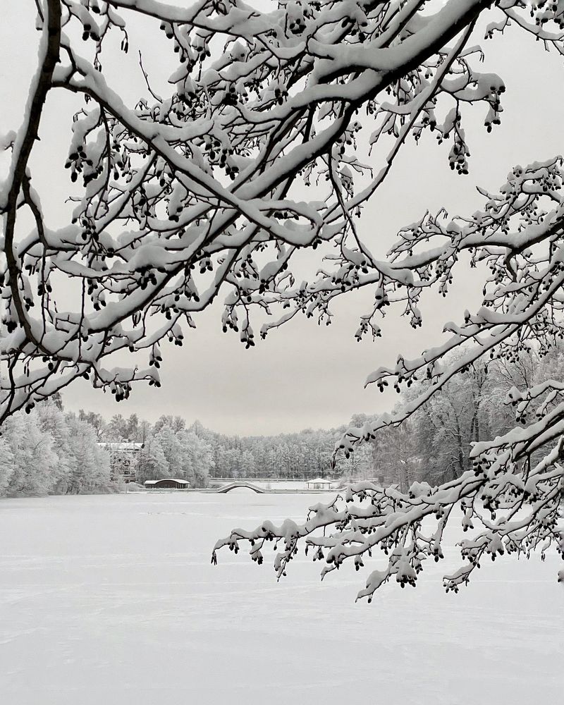 Мобильная фотография
