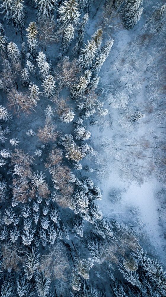 Photograph by Сергей Фаренюк