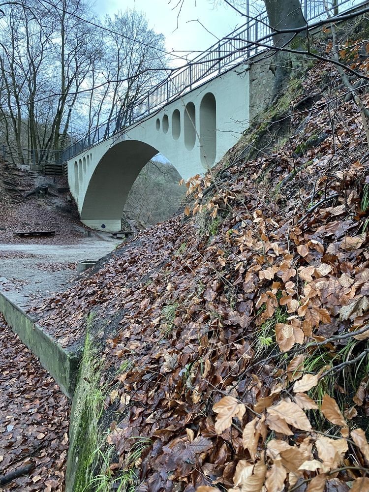 Photograph by Olga Rogala