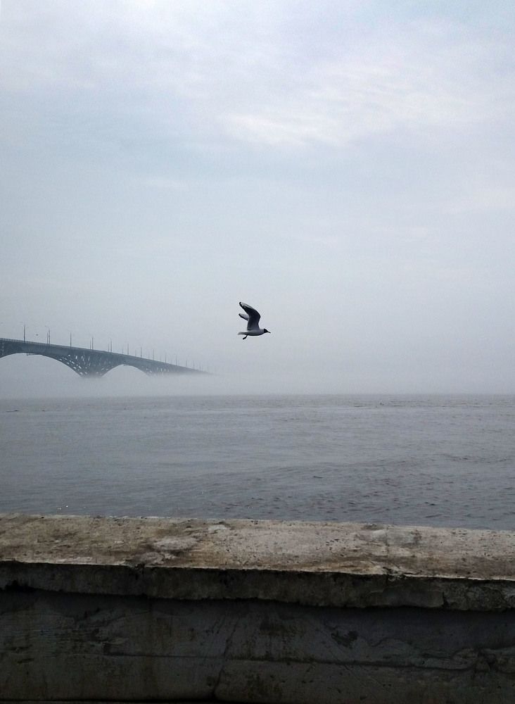 Photograph by Юрий Набатов