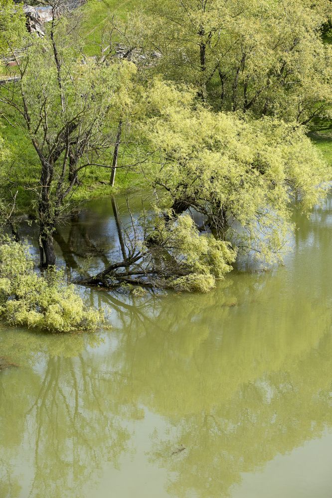 Photograph by Николай Ткач