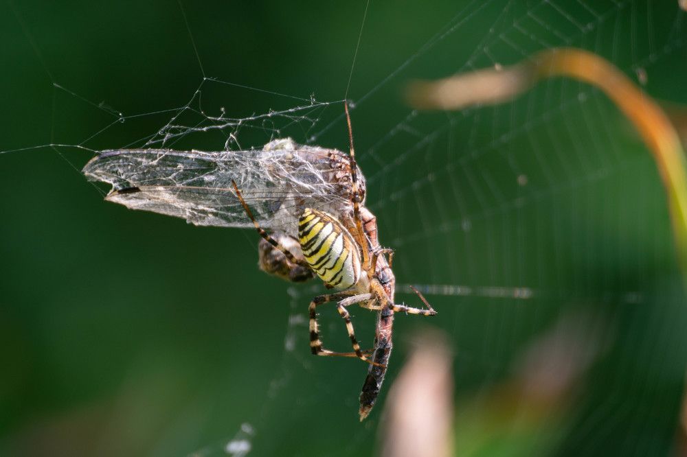 Photograph by Наталья Вялых