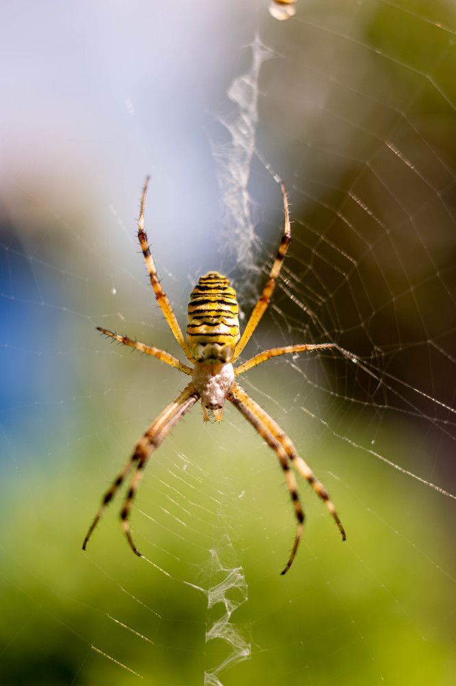 Photograph by Наталья Вялых