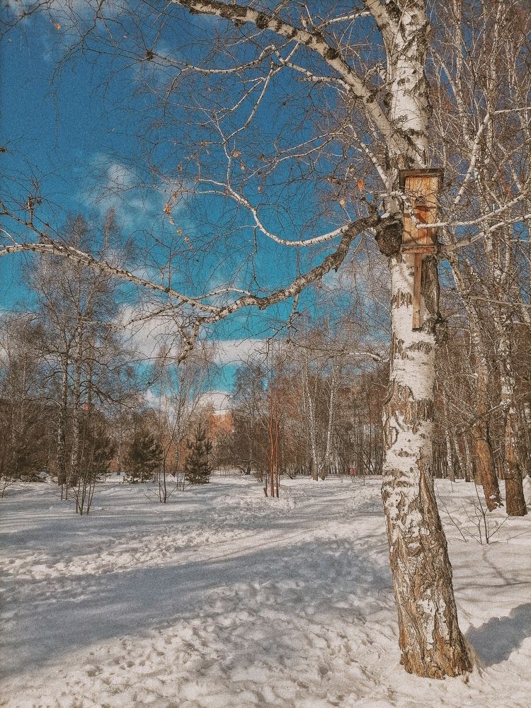 Photograph by Наталья Веряскина