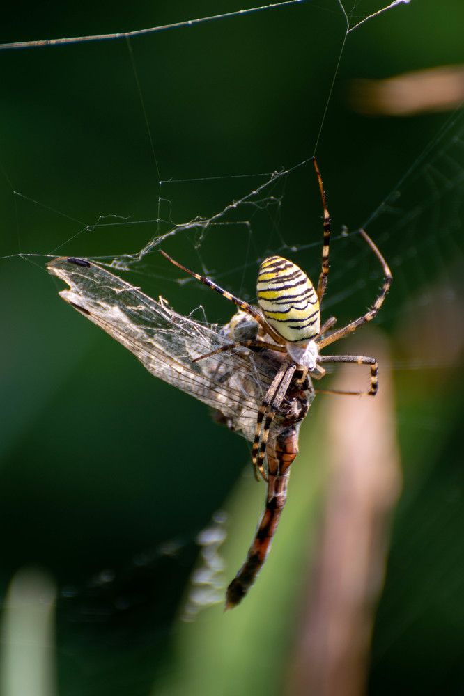 Photograph by Наталья Вялых