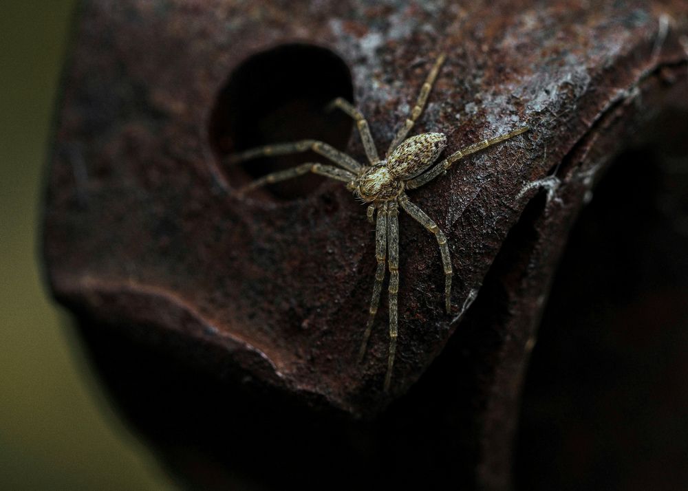 Photograph by Лейла