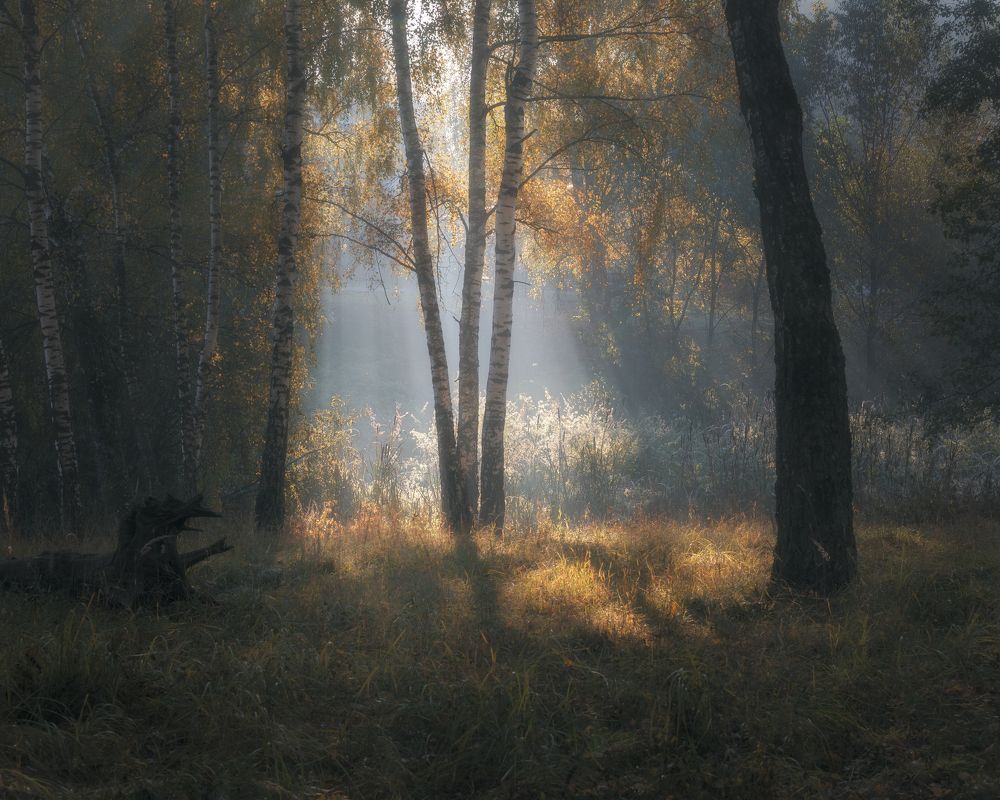 Фотография автора Мартыненко Дмитрий