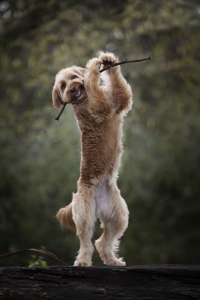 Photograph by Alexandre Marques