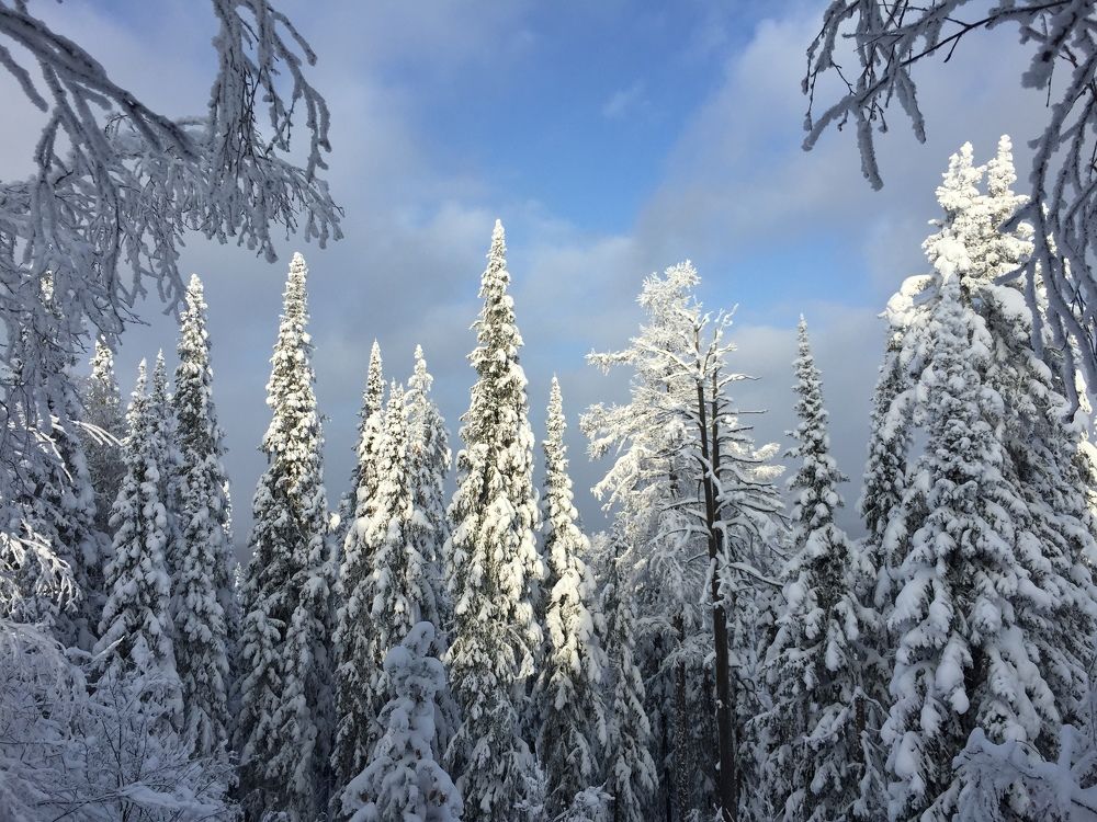 Photograph by Юлия Садовщикова