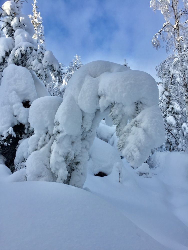 Photograph by Юлия Садовщикова