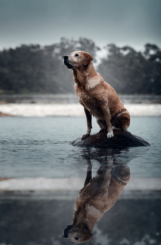 Photograph by Alexandre Marques