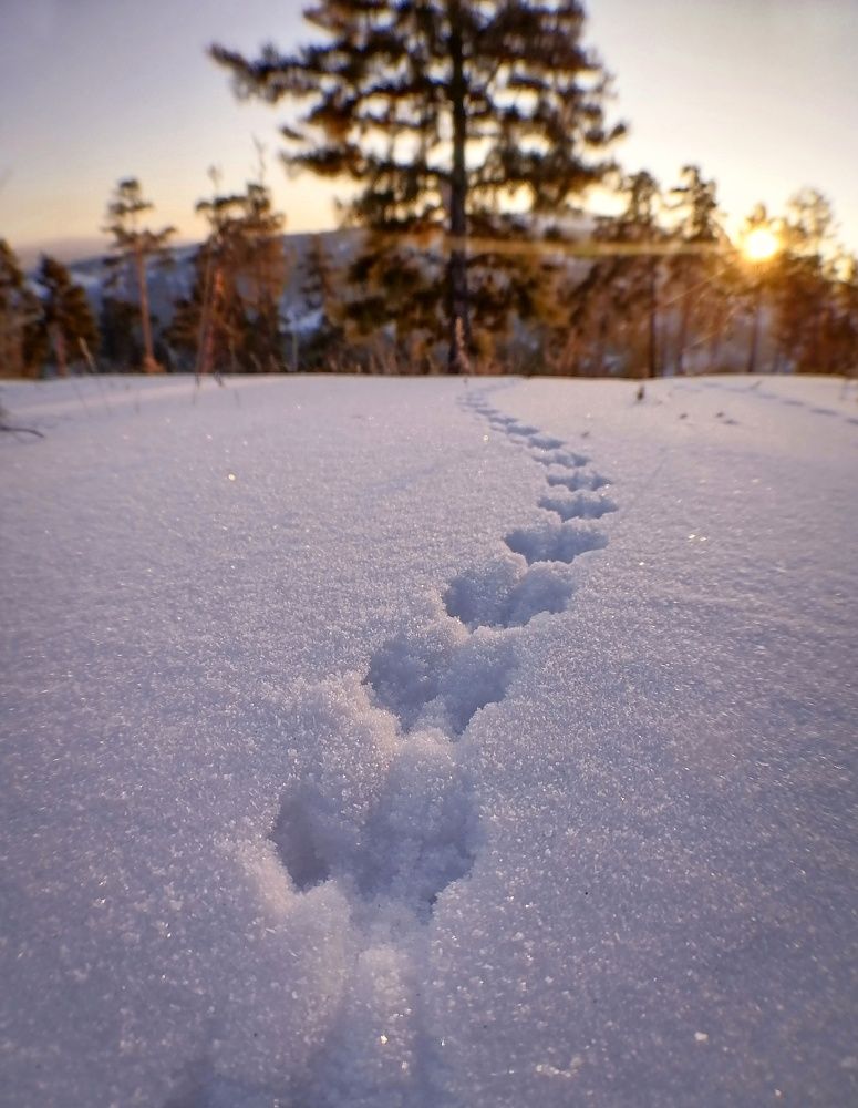 Photograph by Светлана Шелухеева