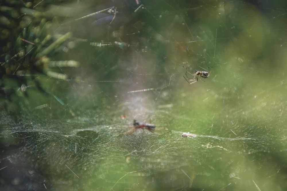 Photograph by Григорий Консевич