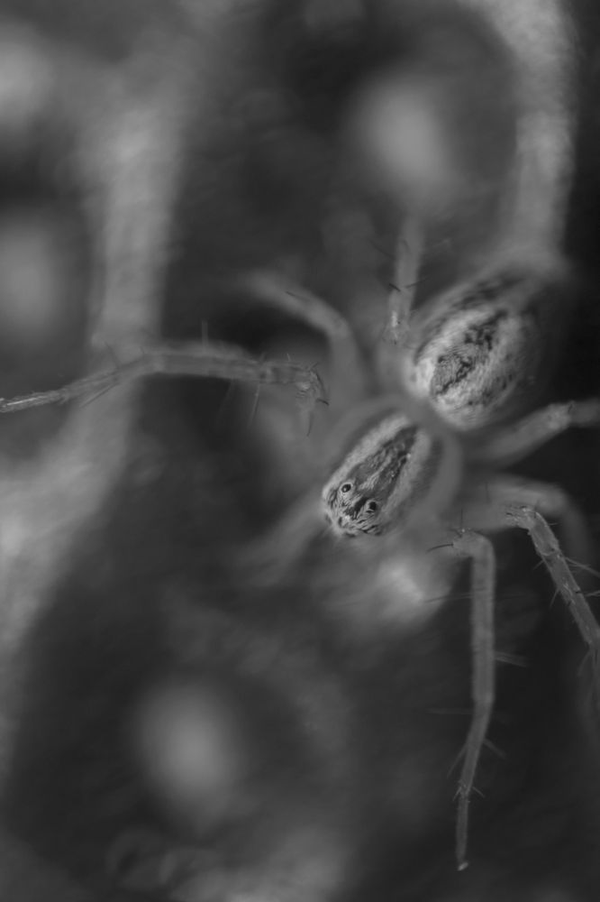 Photograph by Григорий Консевич