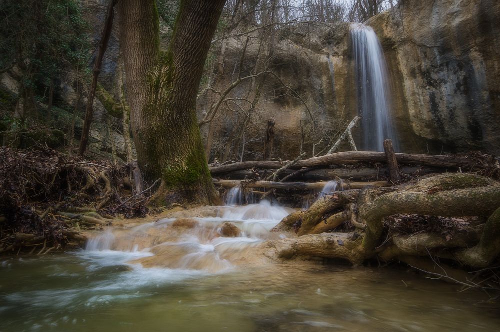 Photograph by Сергей Черкасов