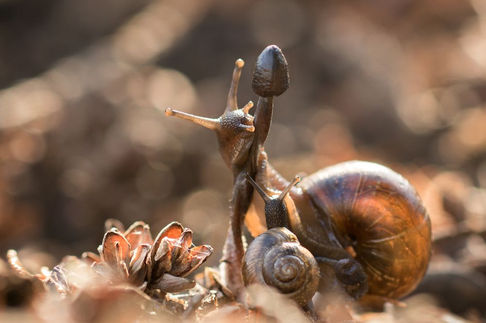 Photograph by Светлана Давыдова