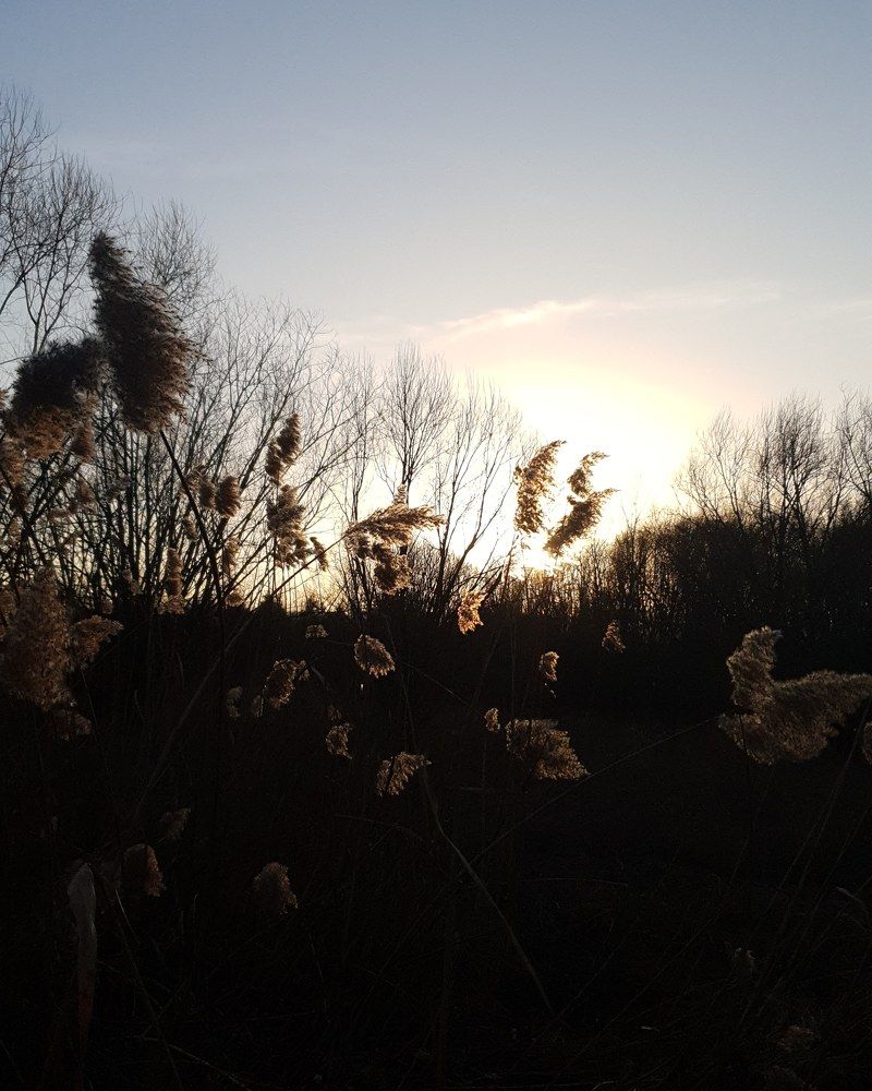 Photograph by Karolina Kamocka