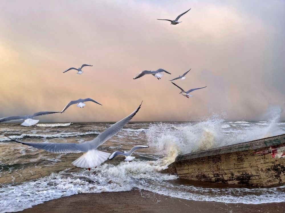 Photograph by Galina Baranovskaja