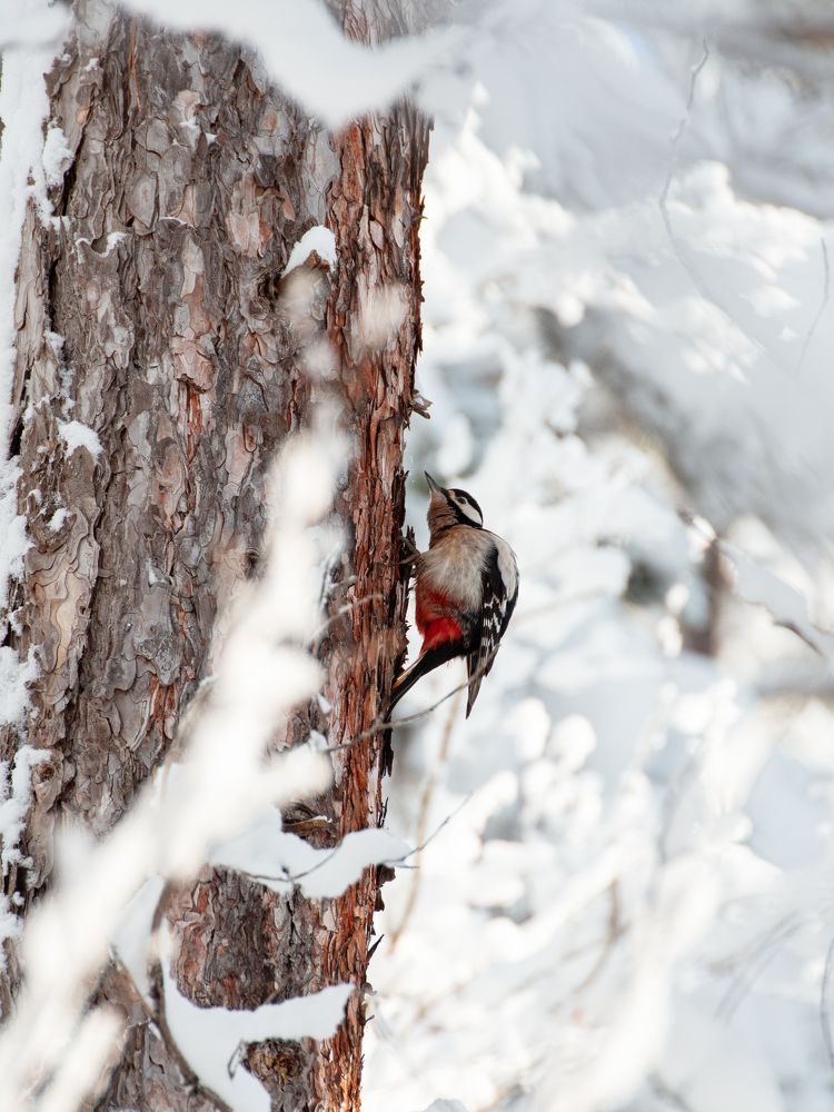 Photograph by Григорий Консевич