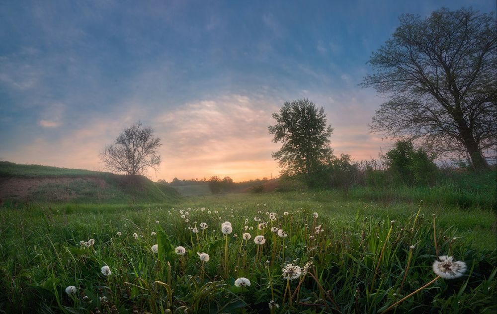 Photograph by Сергей Воробьев