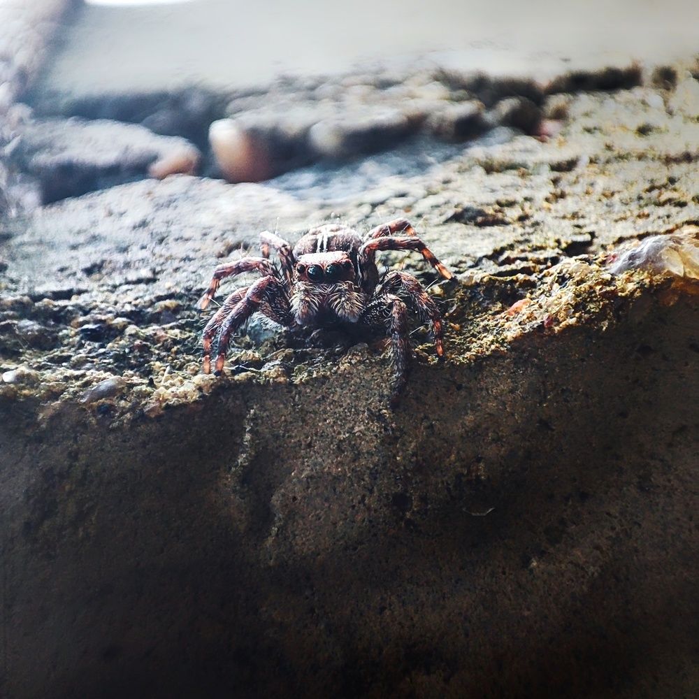 Photograph by Buddhika Dinuranga