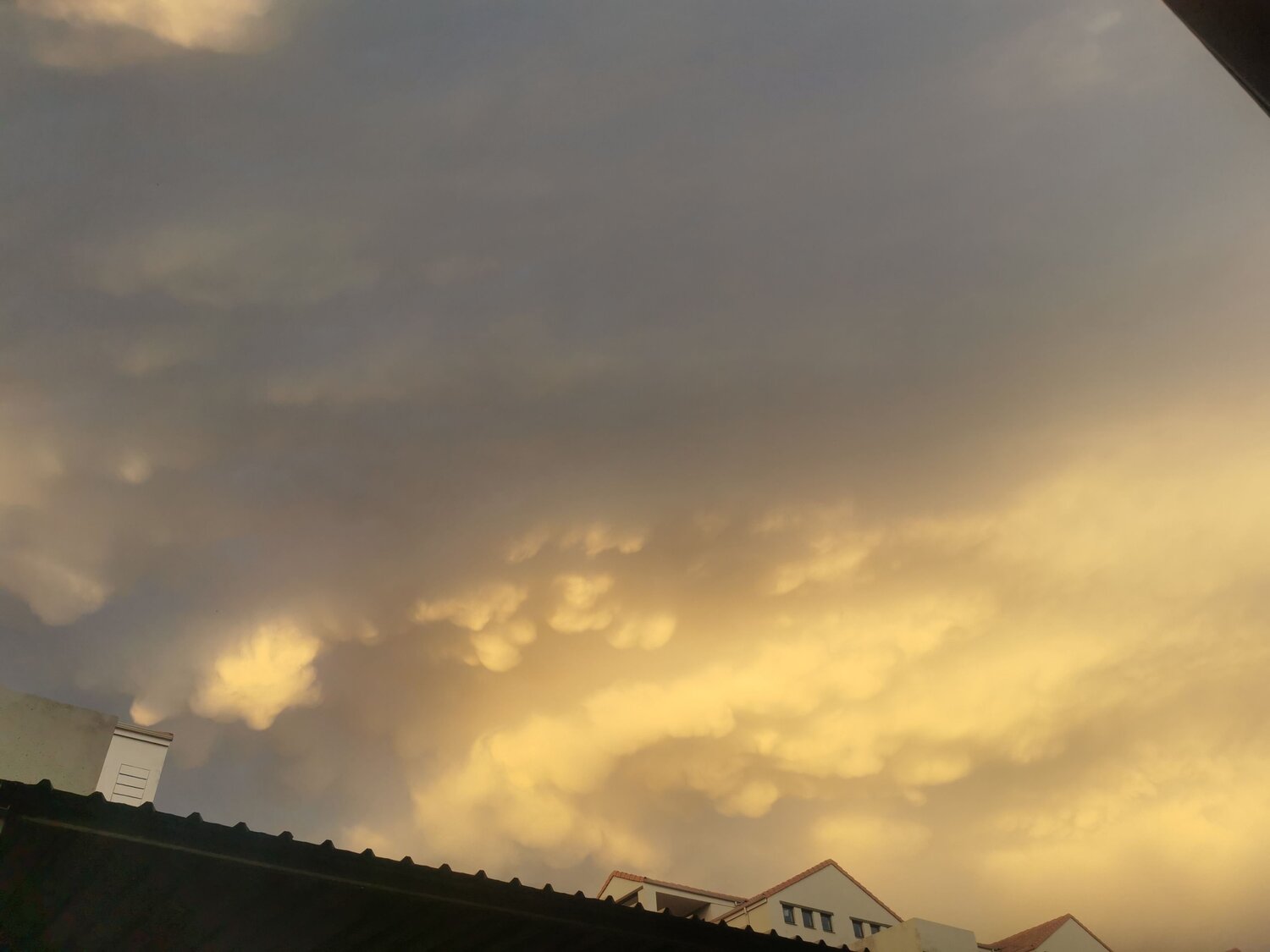 Photo #6981070