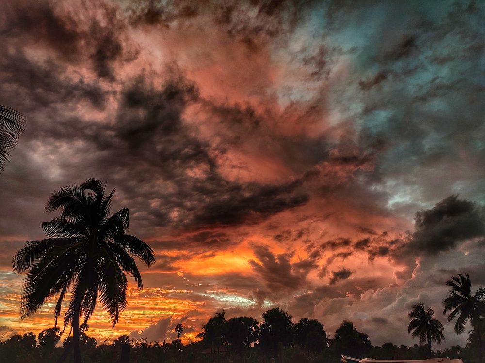 Photograph by Buddhika Dinuranga