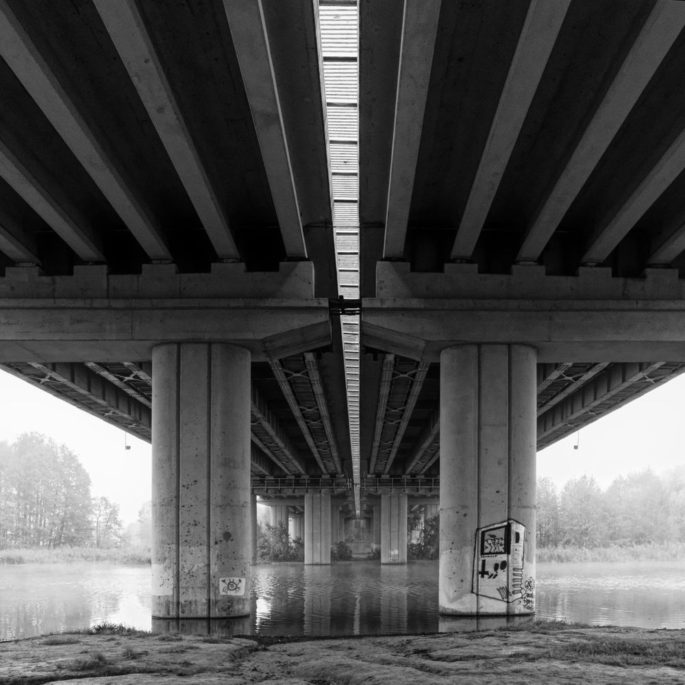 Photograph by Николай Савик