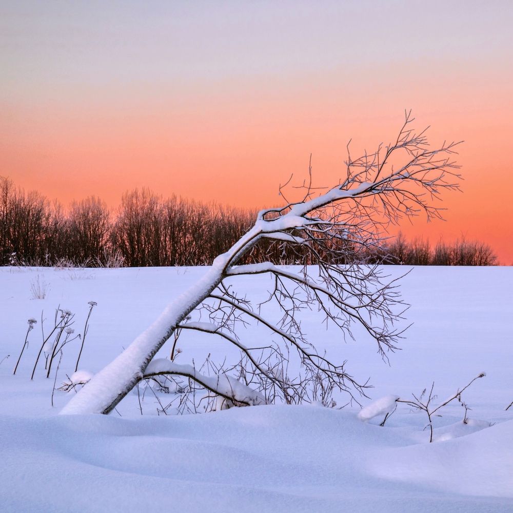 Photograph by Титов Александр