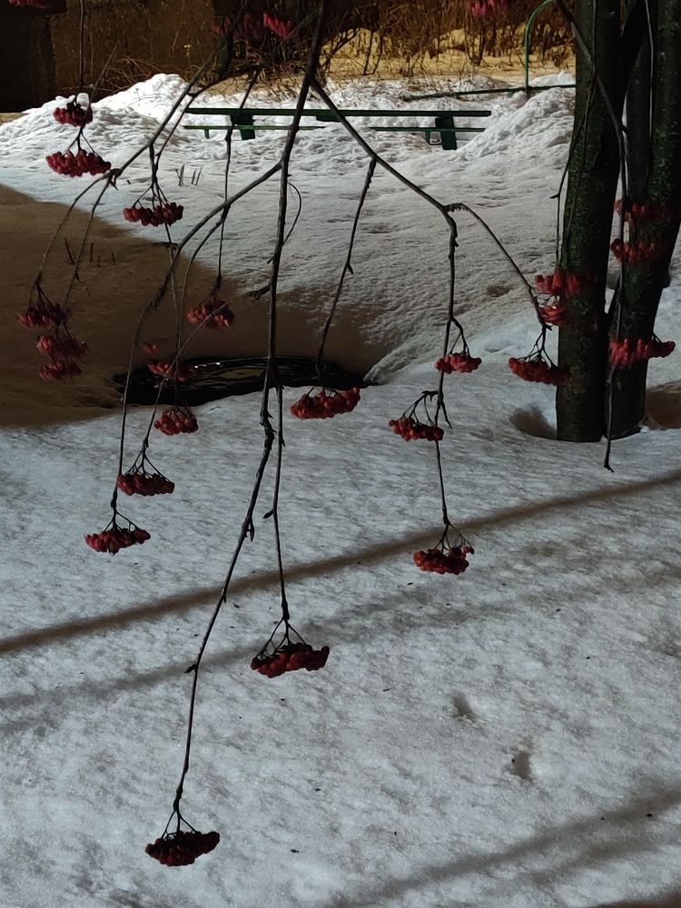 Photo #6981241
