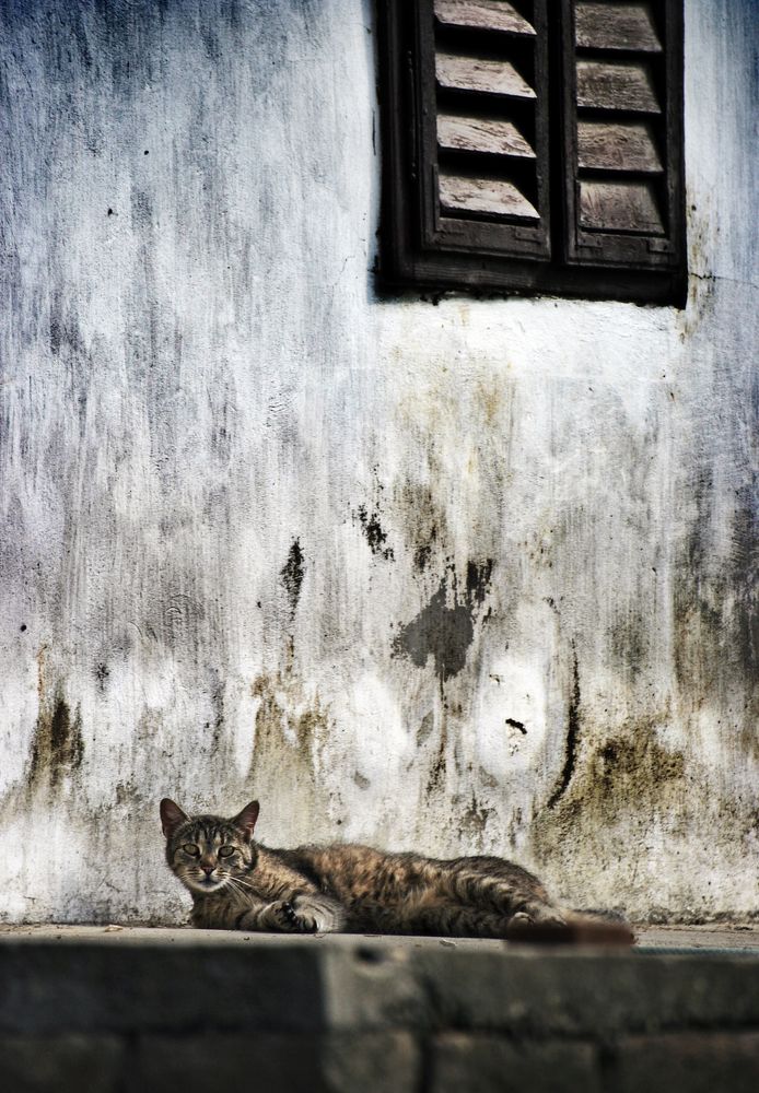 Photograph by Gabriella Szabo