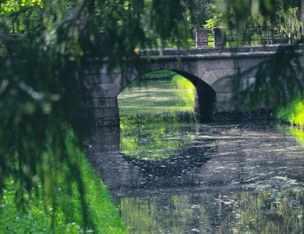 Photograph by Анна Чадова