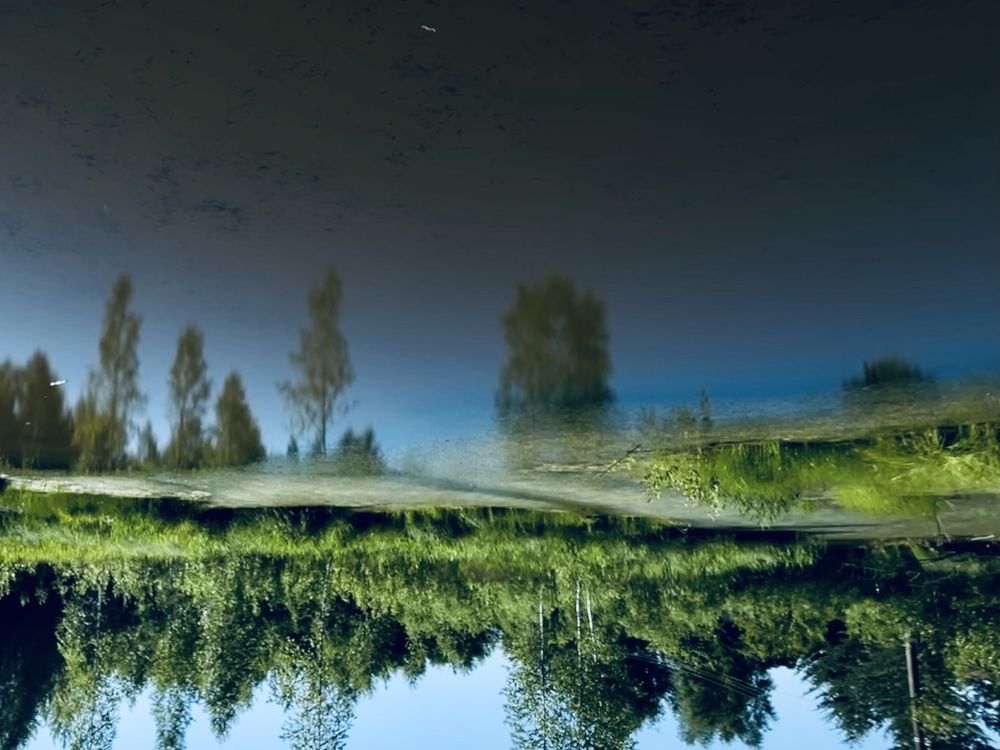 Photograph by Наталья Сережко