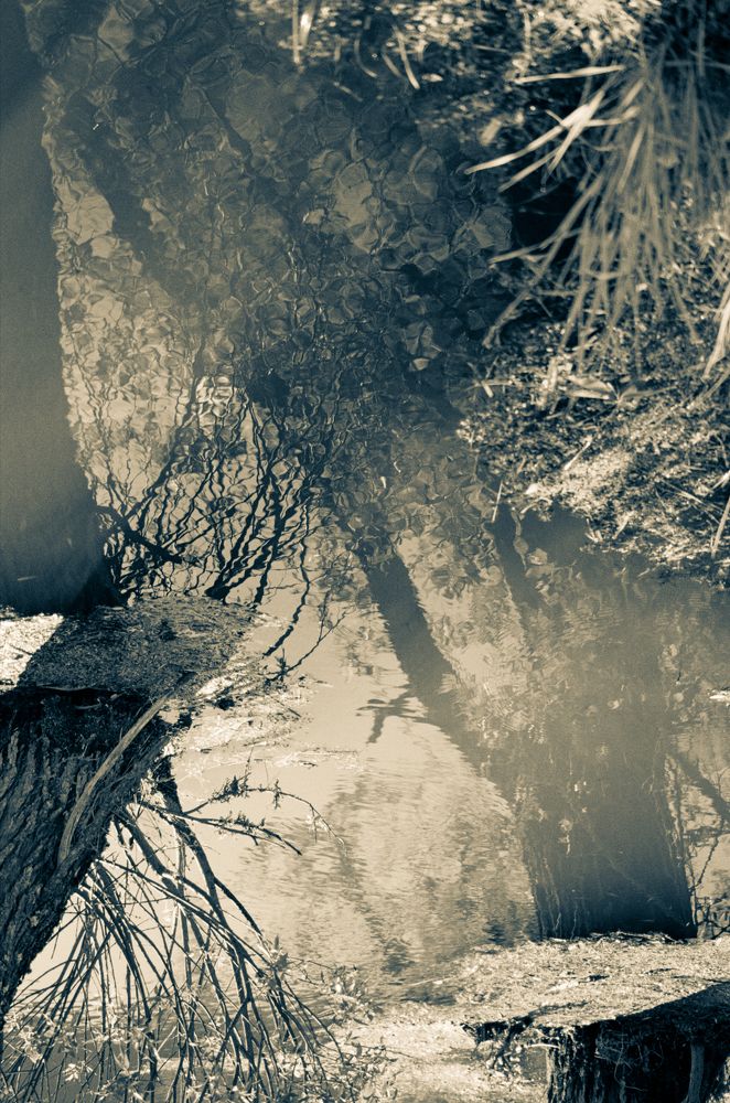 Photograph by Veronika Trubnikova