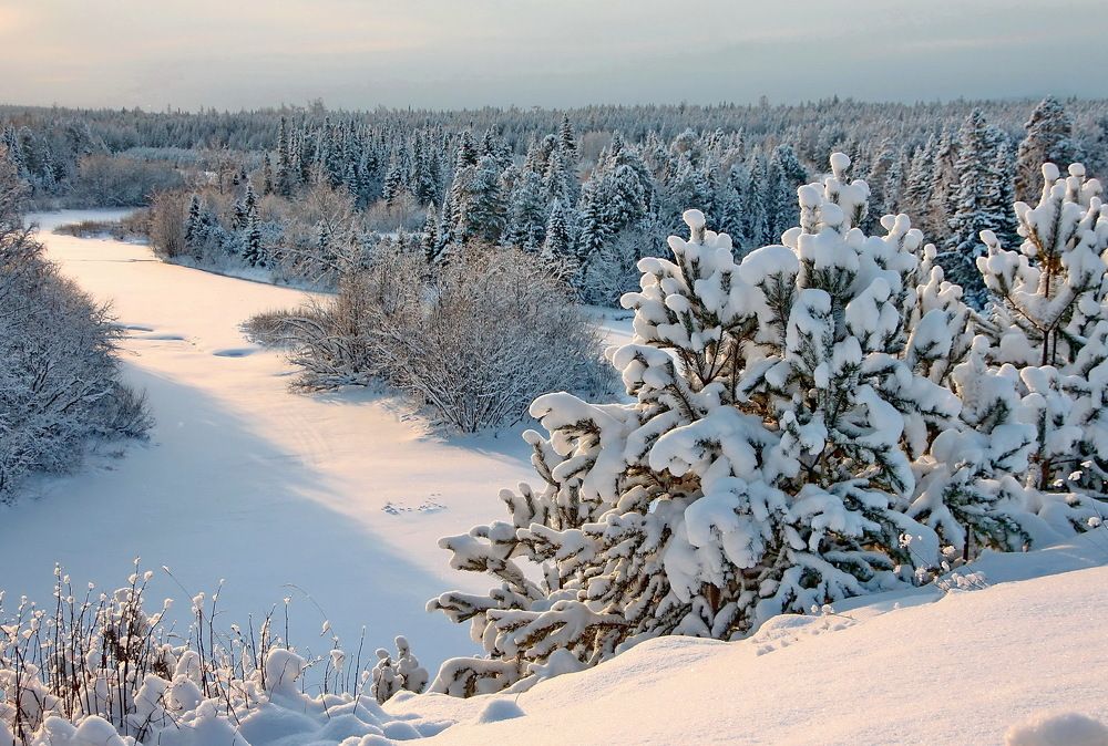 Photograph by Sergei Petrov